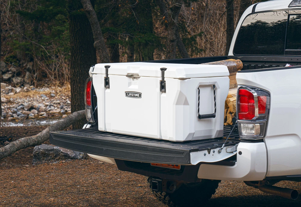 portable ice chest cooler