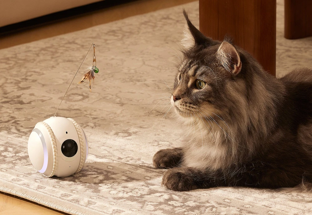 best indoor security camera for pets