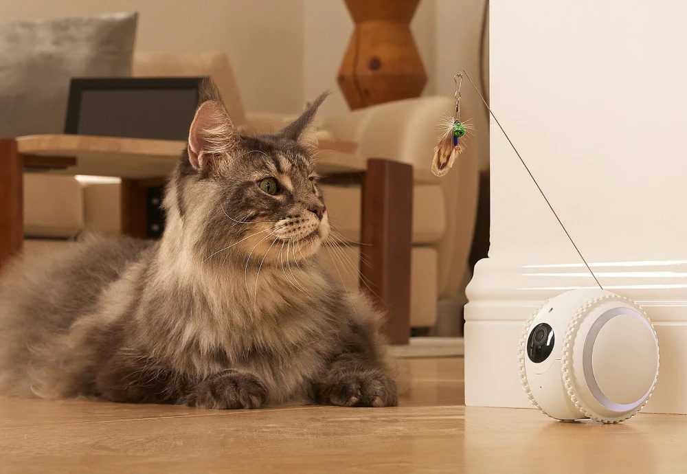 pet surveillance camera