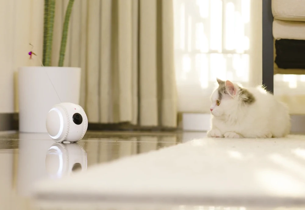 wireless pet camera system