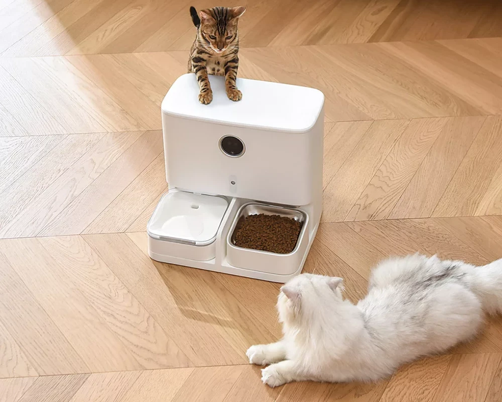 automatic feeder with camera