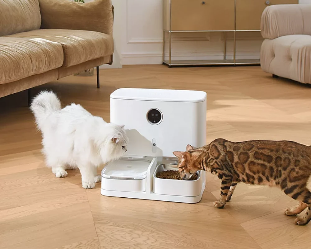 automatic pet feeder for 2 cats