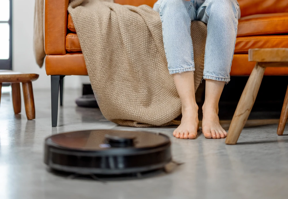 robot vacuum and cleaner